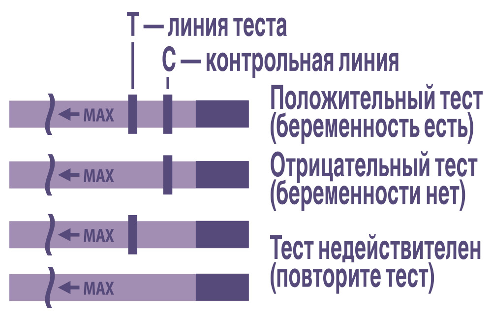 Тест на беременность evitest инструкция в картинках