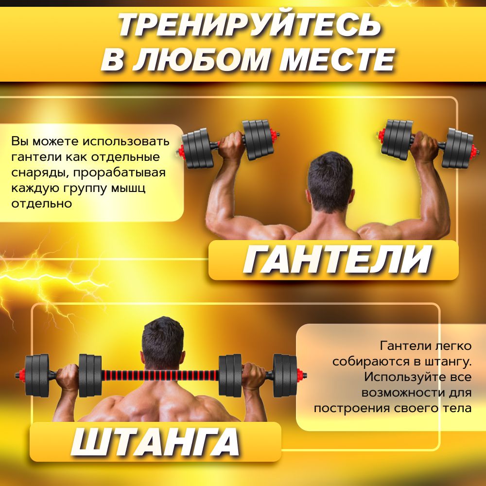 Разборные гантели ТИТАН 19,5 кг 2 шт., общий вес 39 кг + штанга - купить в  Москве, цены на Мегамаркет | 600012028525