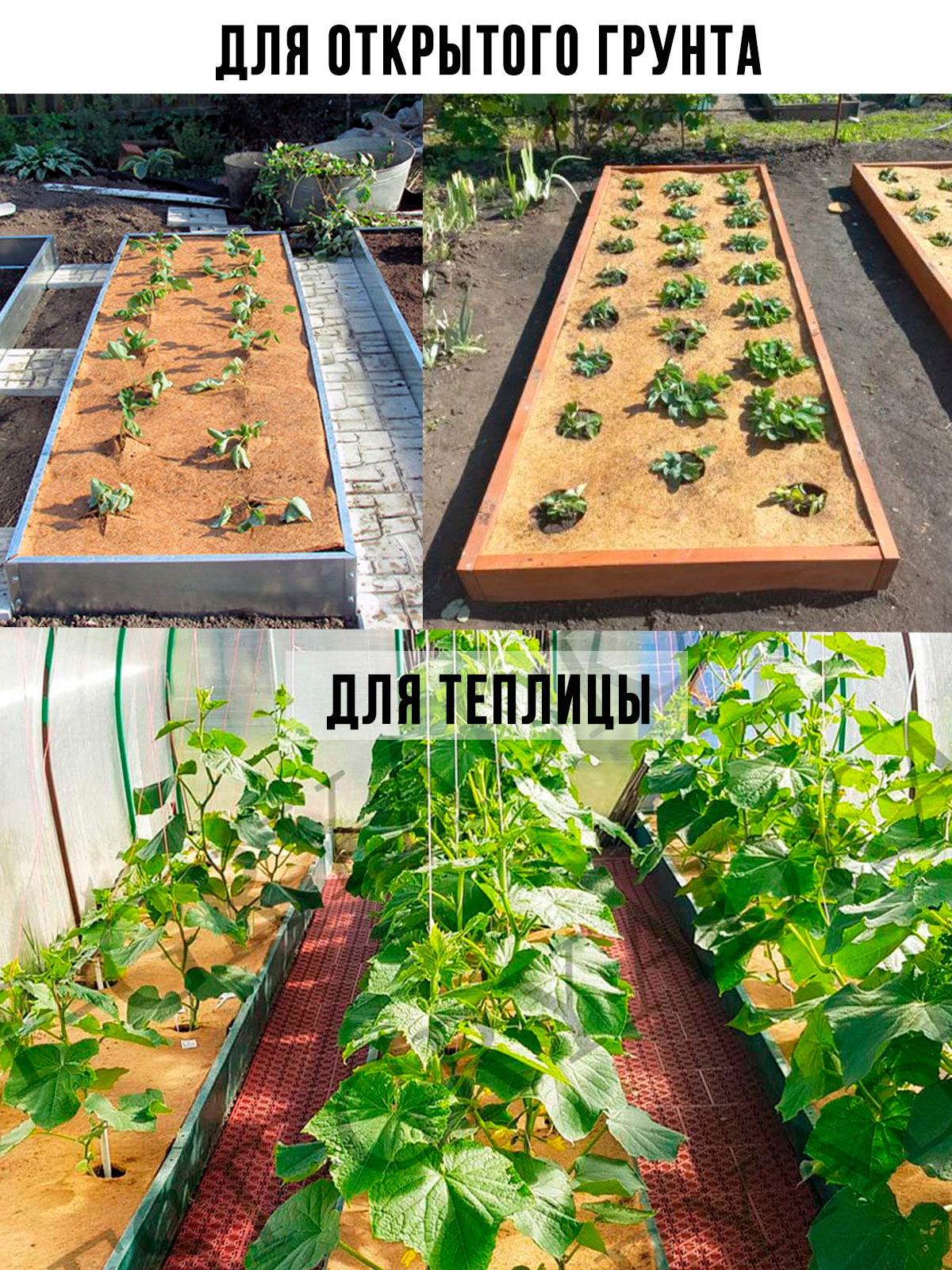 Кокосовая Сетка Для Клубники Купить