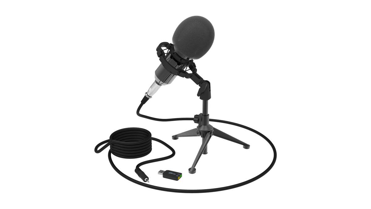 Микрофон ritmix rdm-180. Микрофон ritmix rdm-120. Ritmix rdm-160. Rdm 160 микрофон. Микрофон ritmix rdm-169.