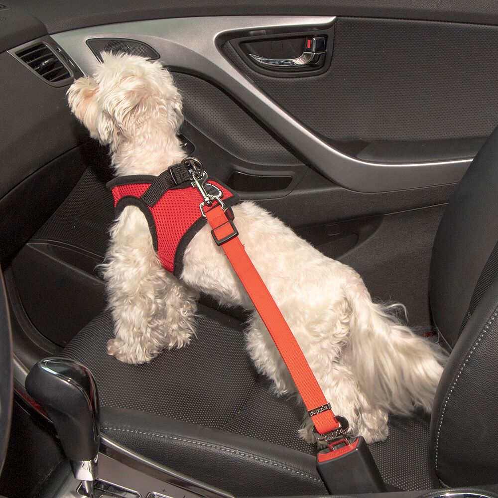 Ремень безопасности для собак автомобильный  PUPPIA, красный