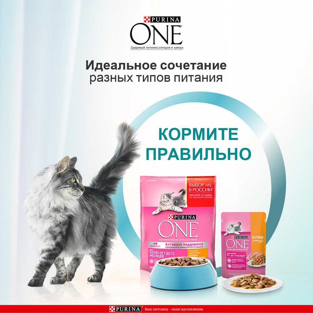 Сухой корм для котят Purina One, курица и цельные злаки, 0,2кг