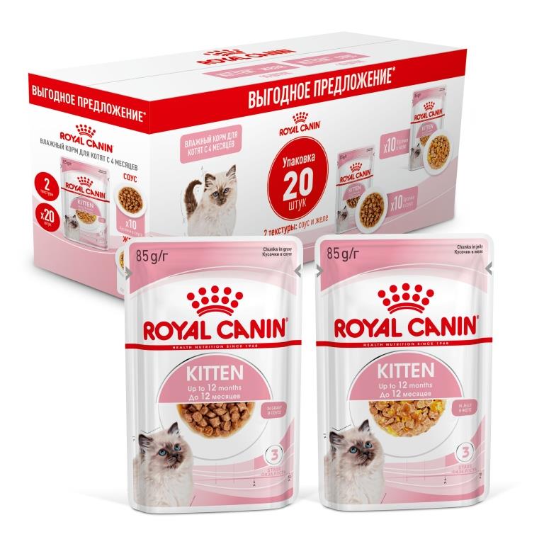 Купить влажный корм для котят Royal Canin Kitten, соус и желе, мультипак 20шт по 85 г, цены на Мегамаркет | Артикул: 100046662312
