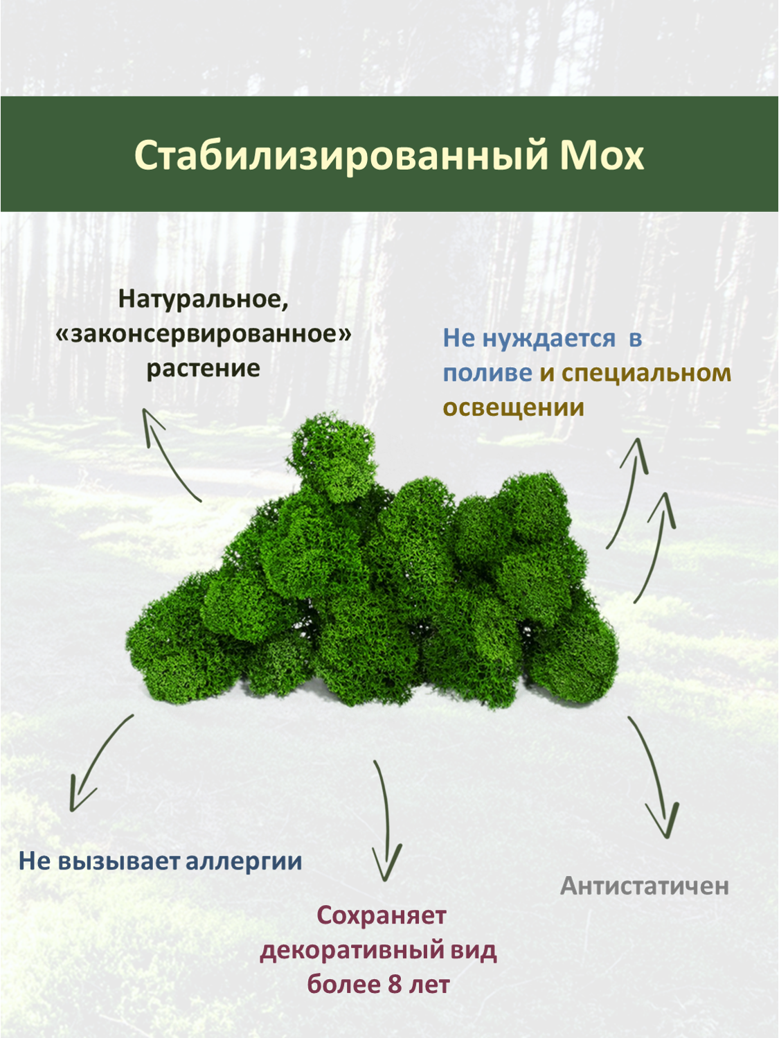 Стабилизированный ответ