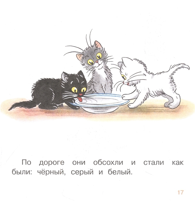 Как зовут третьего котенка. Три котенка сутеев раскраска. раскраска три котёнка по сутееву. три котёнка сколько страниц. аст три котенка.