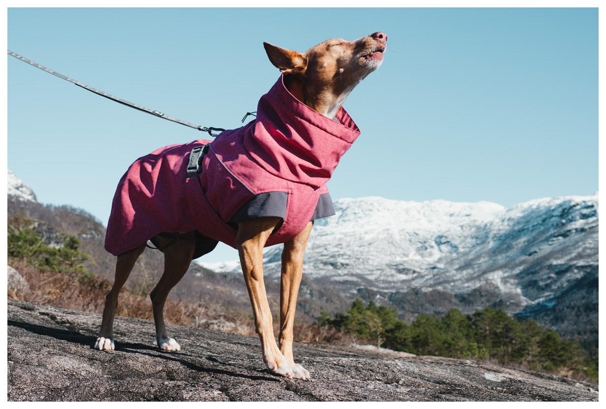 Куртка для собак HURTTA EXPEDITION PARKA, унисекс, красный, 60, длина спины 60 см