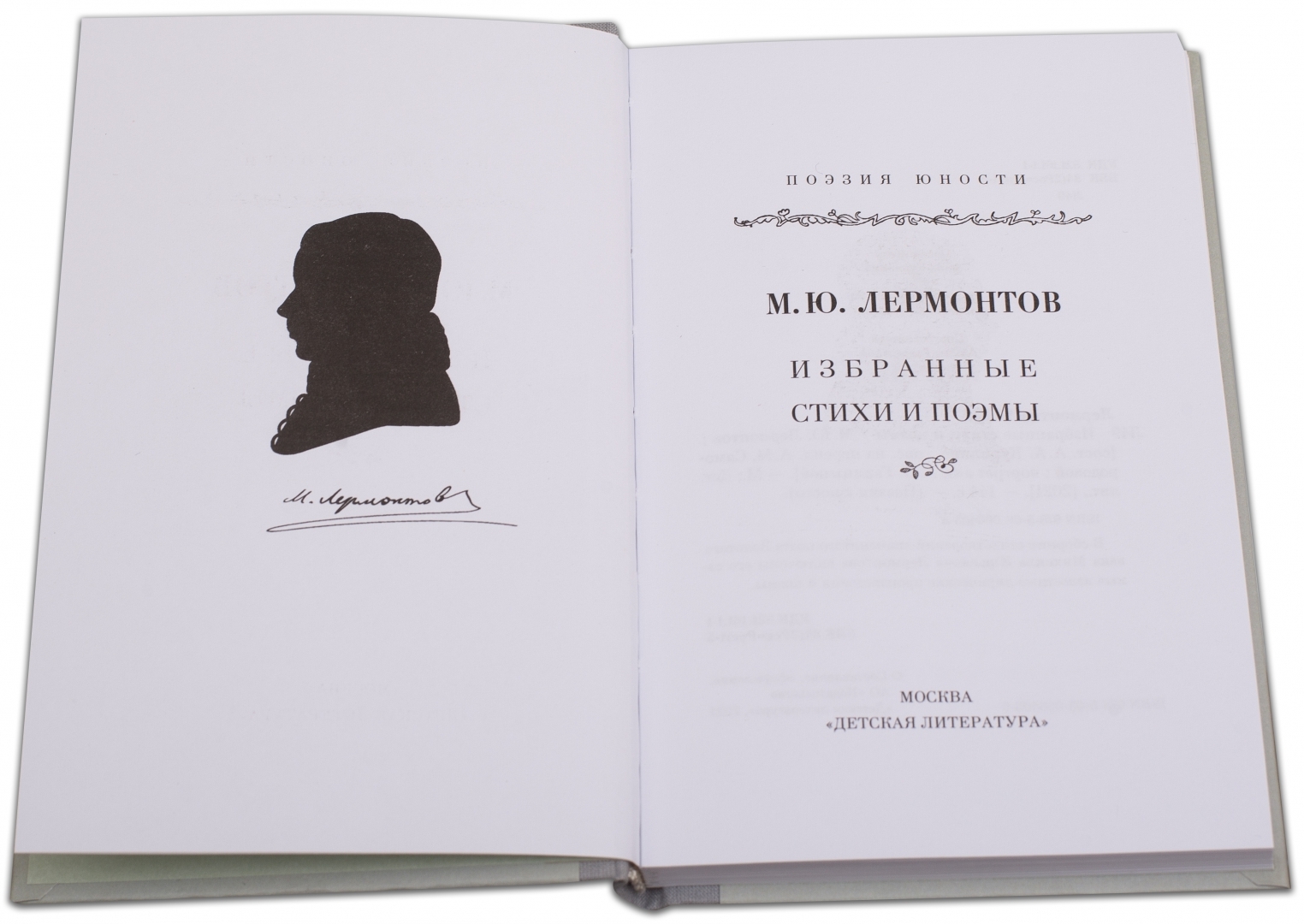 Юность поэзии. Лермонтов избранное 1953. Лермонтов стихи и поэмы эксклюзивная классика. Избранные стихотворения.