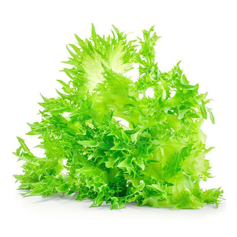 Семена Фриллис Купить В Петрозаводске