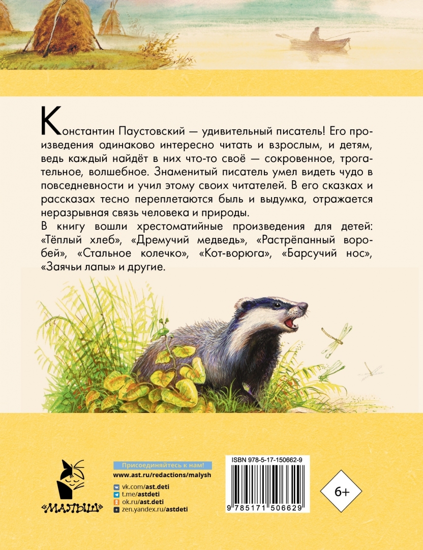 К паустовский рассказы 3 класс. Паустовский рассказы для детей. тёплый хлеб читать полностью. тёплый хлеб паустовский читать. к. паустовский &quot;рассказы&quot;.