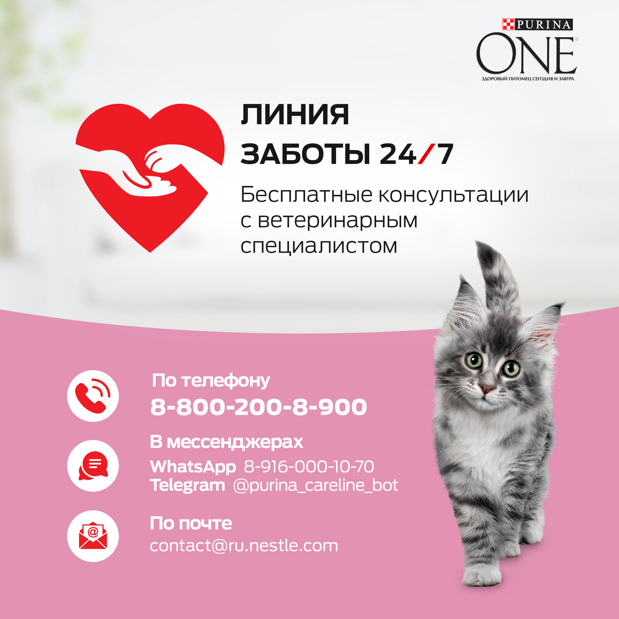 Купить сухой корм для котят Purina One, курица и цельные злаки, 0,75кг,  цены на Мегамаркет | Артикул: 100024142602