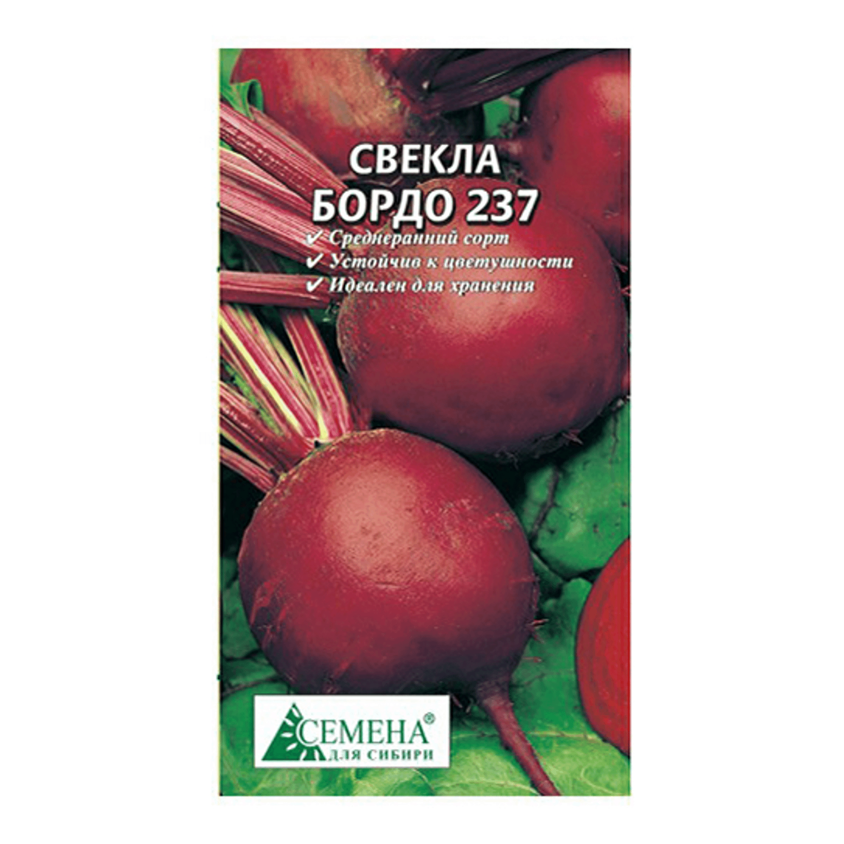 Свекла бордо 237 описание сорта. Свекла бордо 237. Свекла столовая бордо 237. Свекла семена для Сибири. Свекла бордо 237 описание.