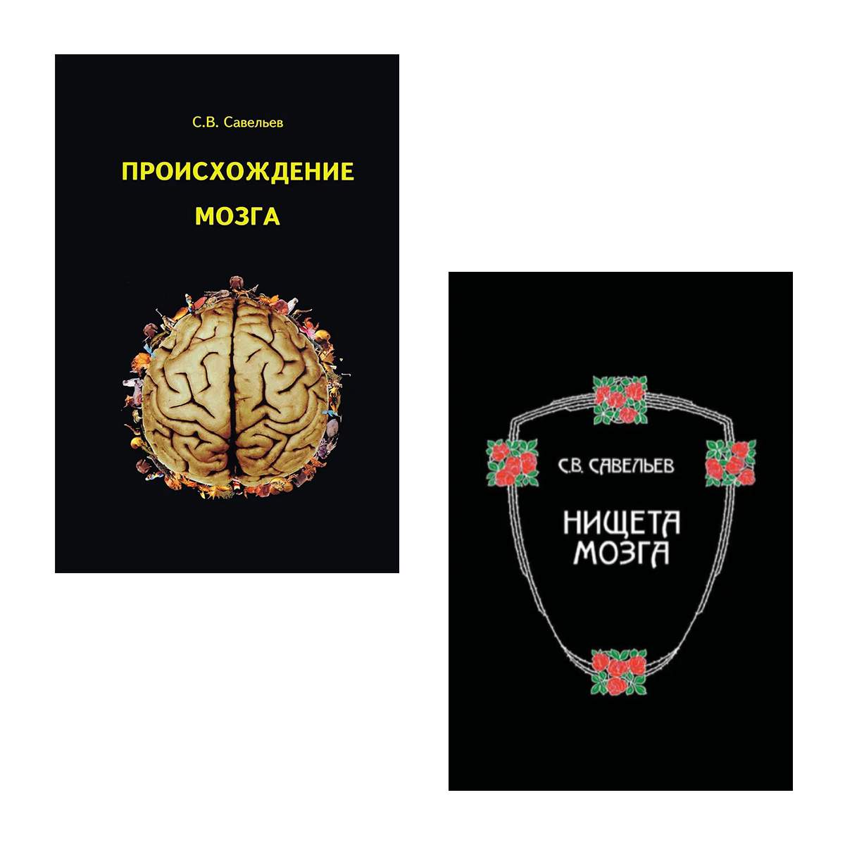 Нищета мозга книга. Морфология сознания.