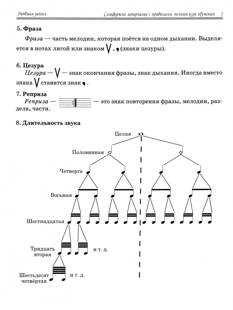 Сольфеджио: шпаргалка с правилами: полный курс обучения - купить основ  музыки в интернет-магазинах, цены на Мегамаркет | 144