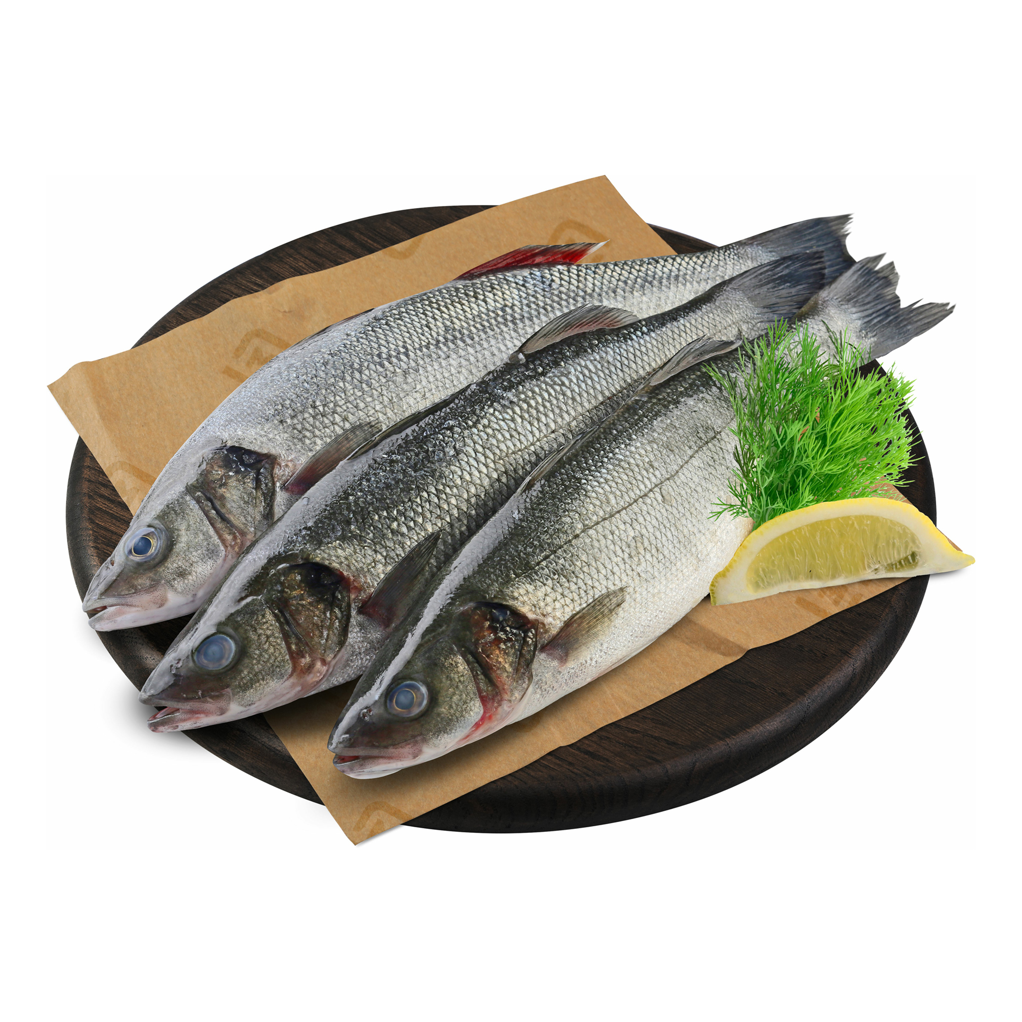 Сибас Рыба Цена