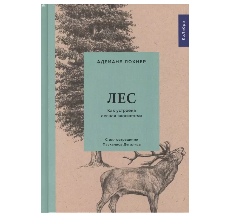 Книга в лесу. В лесах книга. Книги про лес для школьников. Год в лесу книга.