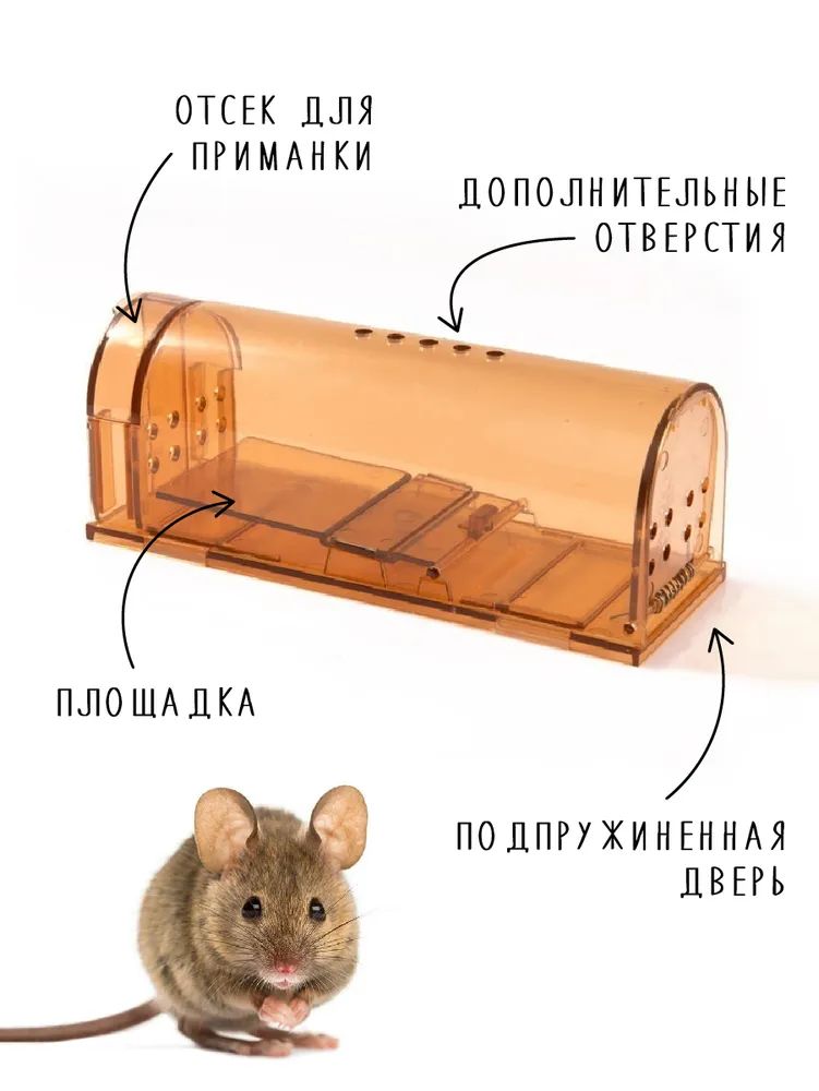 как мочкануть хомяков?