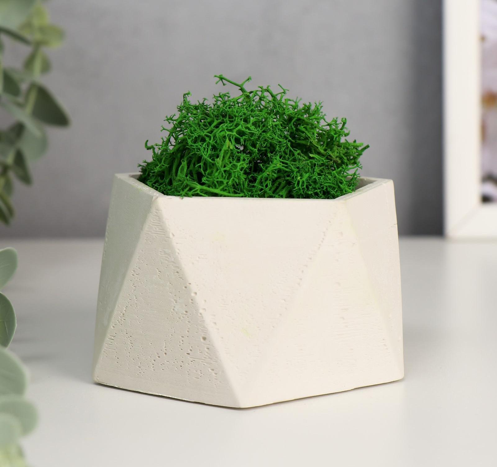 бетон мох. текстура замшелого бетона. бетон мох. бетон мох. Moss alpha.