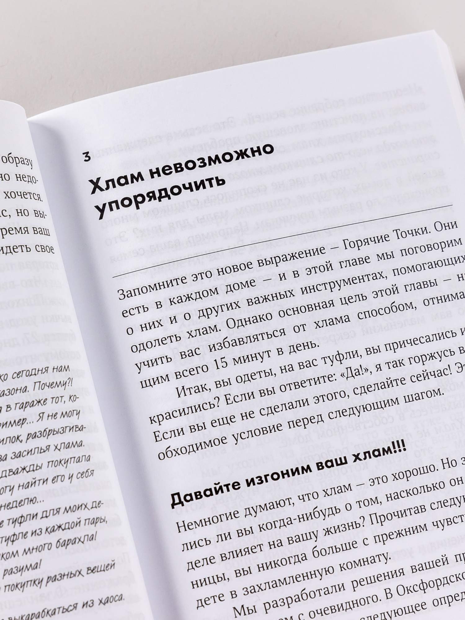 Школа Флайледи, Как навести порядок в доме и в жизни - купить в Торговый Дом  БММ, цена на Мегамаркет