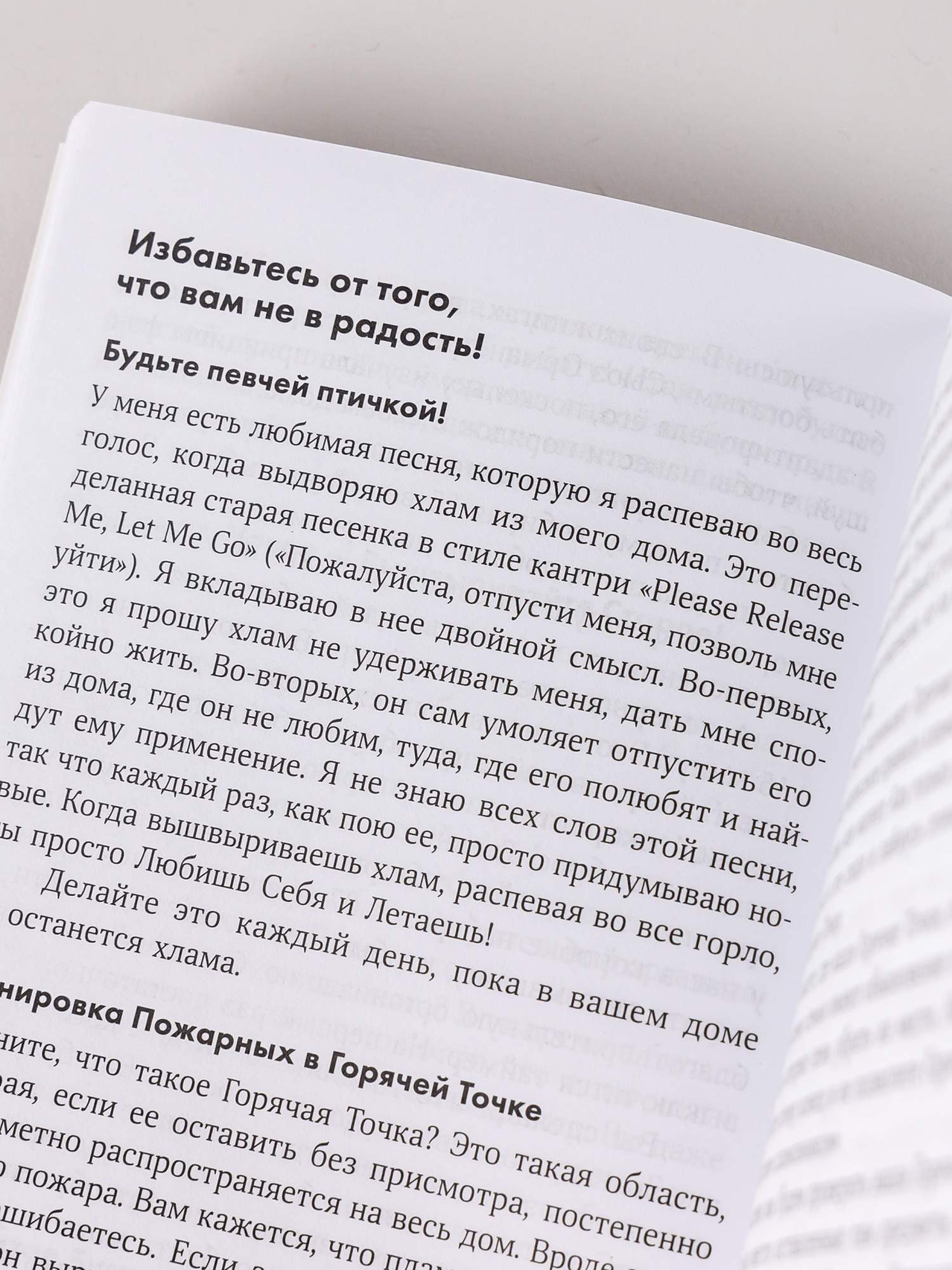 Школа Флайледи, Как навести порядок в доме и в жизни - купить в Торговый Дом  БММ, цена на Мегамаркет