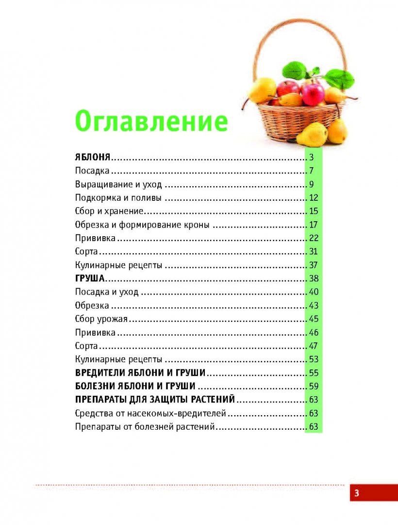 Книга Яблони и Груши, Секреты Урожая От Октябрины Ганичкиной - купить дома  и досуга в интернет-магазинах, цены на Мегамаркет | 188966