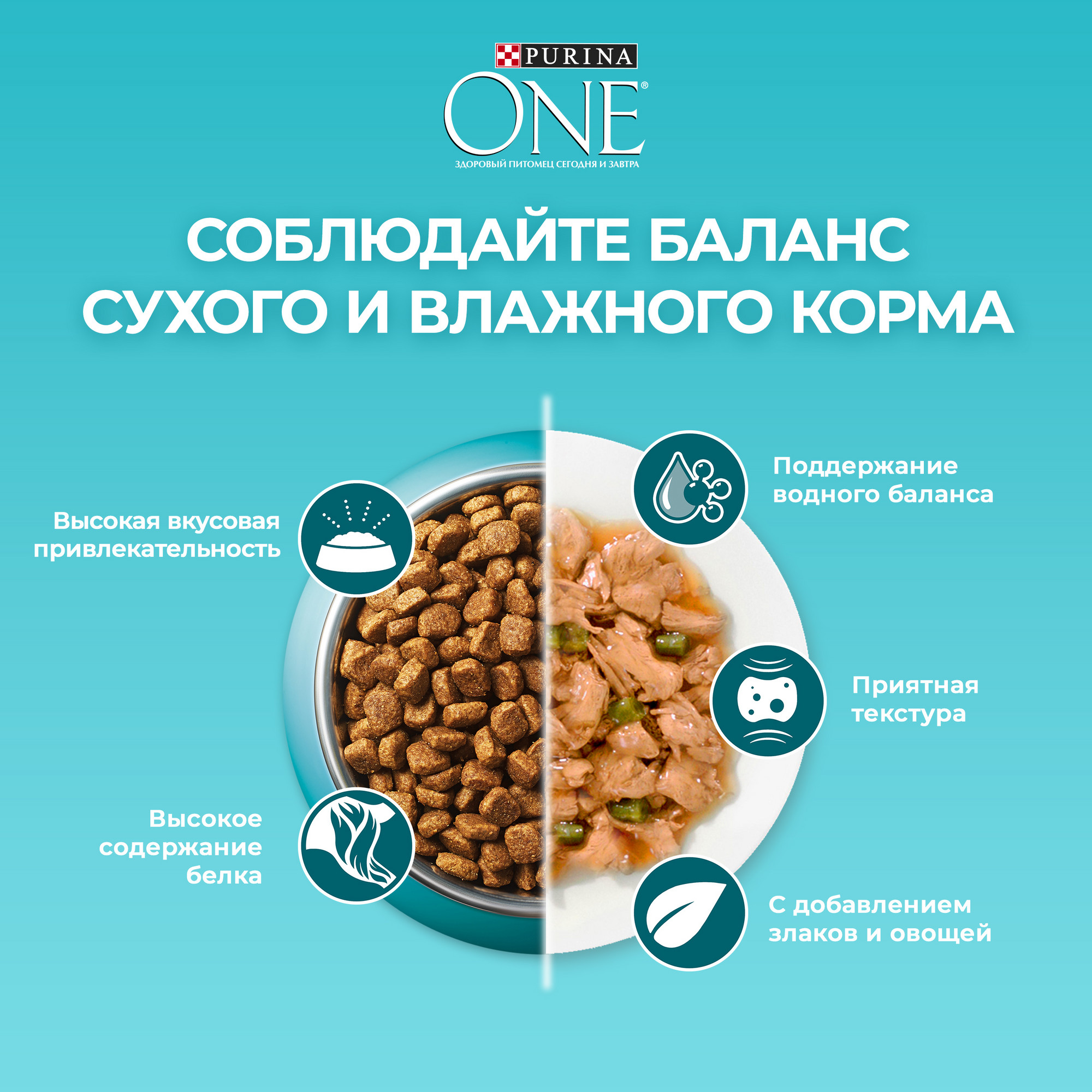 Купить влажный корм для кошек Purina One с говядиной и морковью, 75 г, цены  на Мегамаркет | Артикул: 100032337501