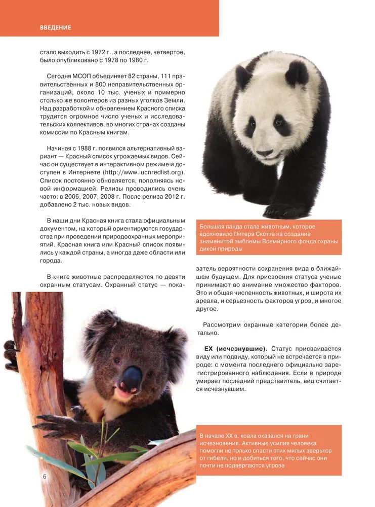 Проект о животном из красной книги