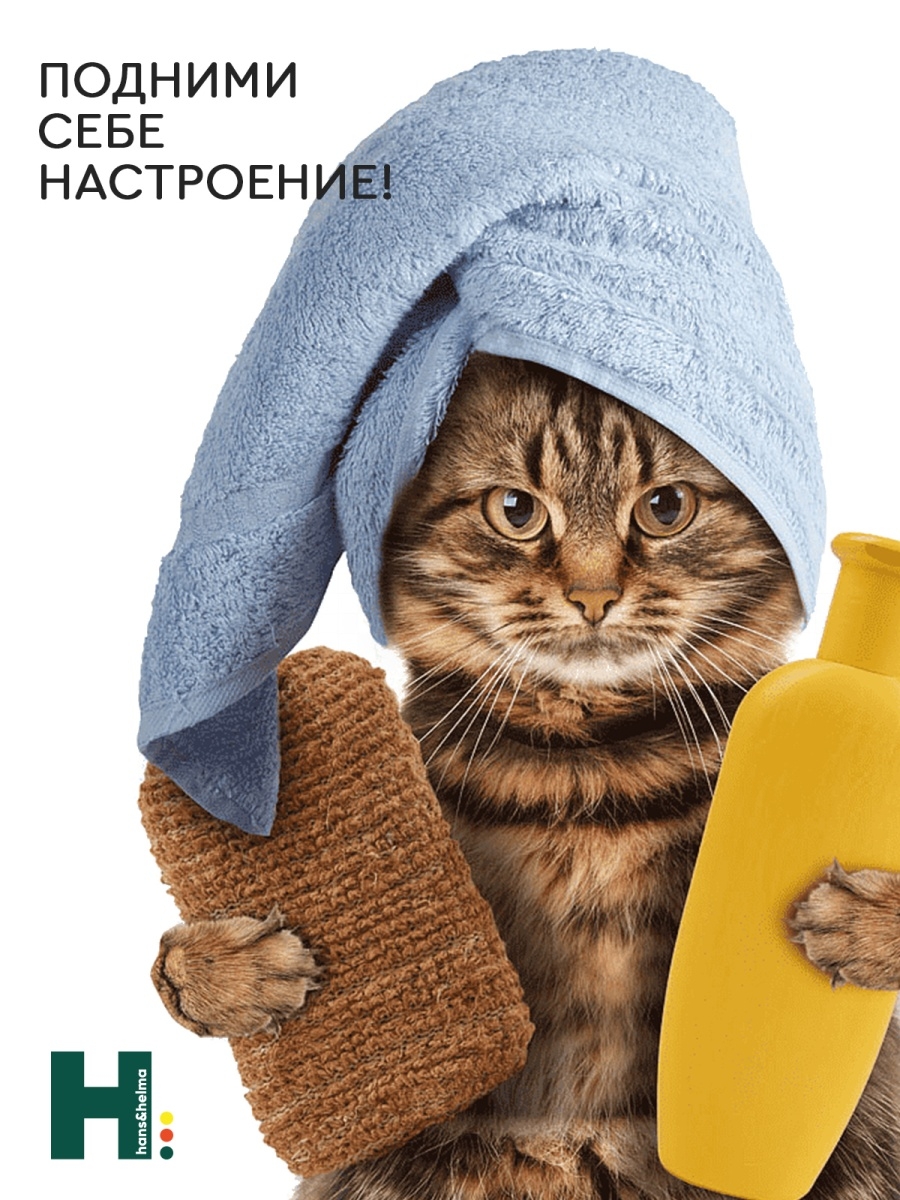 Спа котики