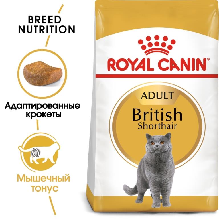 Siamese 38 Royal Canin Купить 2 Кг