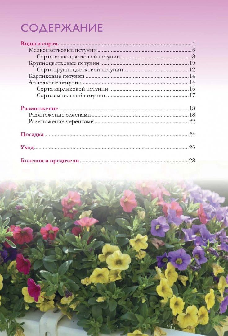 Петунии, С Чего начать – купить в Москве, цены в интернет-магазинах на  Мегамаркет