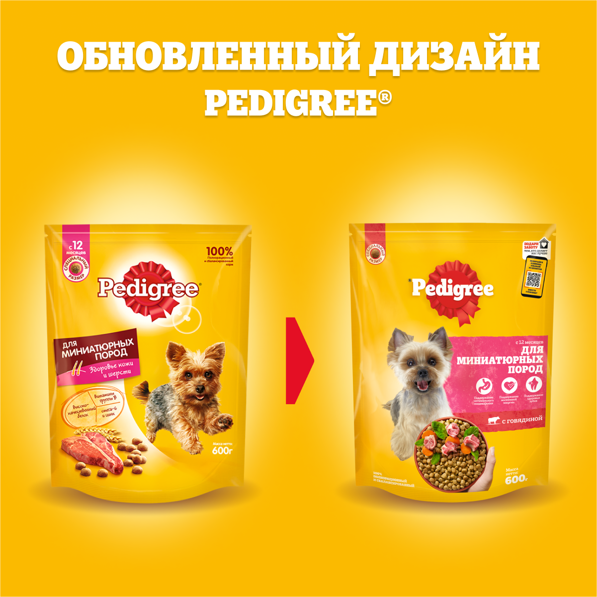 Сухой корм для собак Pedigree для миниатюрных пород, говядина, 0.6кг -  отзывы покупателей на маркетплейсе Мегамаркет | Артикул товара:100001278377