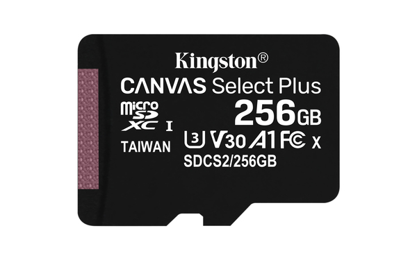 Карта памяти Kingston 256GB Canvas Select Plus + адаптер (SDCS2/256GB), купить в Москве, цены в интернет-магазинах на Мегамаркет