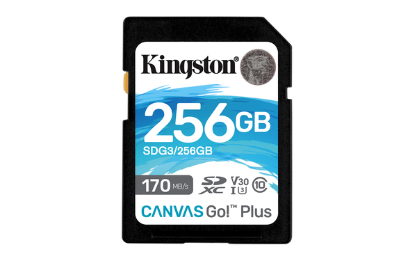 Карта памяти Kingston 256GB Canvas Go! Plus 170R (SDG3/256GB), купить в Москве, цены в интернет-магазинах на Мегамаркет