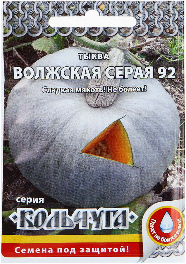 Семена Кольчуга е04208 Тыква Волжская серая 92