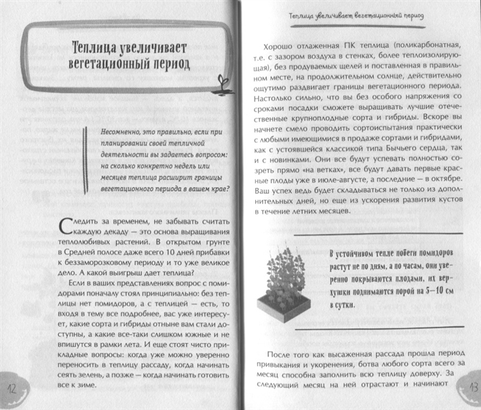 Установка и сборка теплицы. Пошаговая инструкция