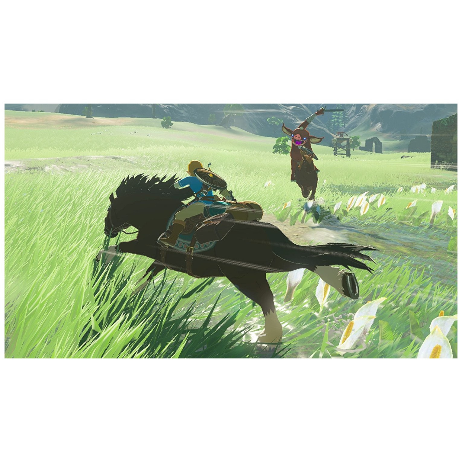 Игра Legend of Zelda: Breath of the Wild для Nintendo Switch - отзывы  покупателей на маркетплейсе Мегамаркет | Артикул: 100002457984