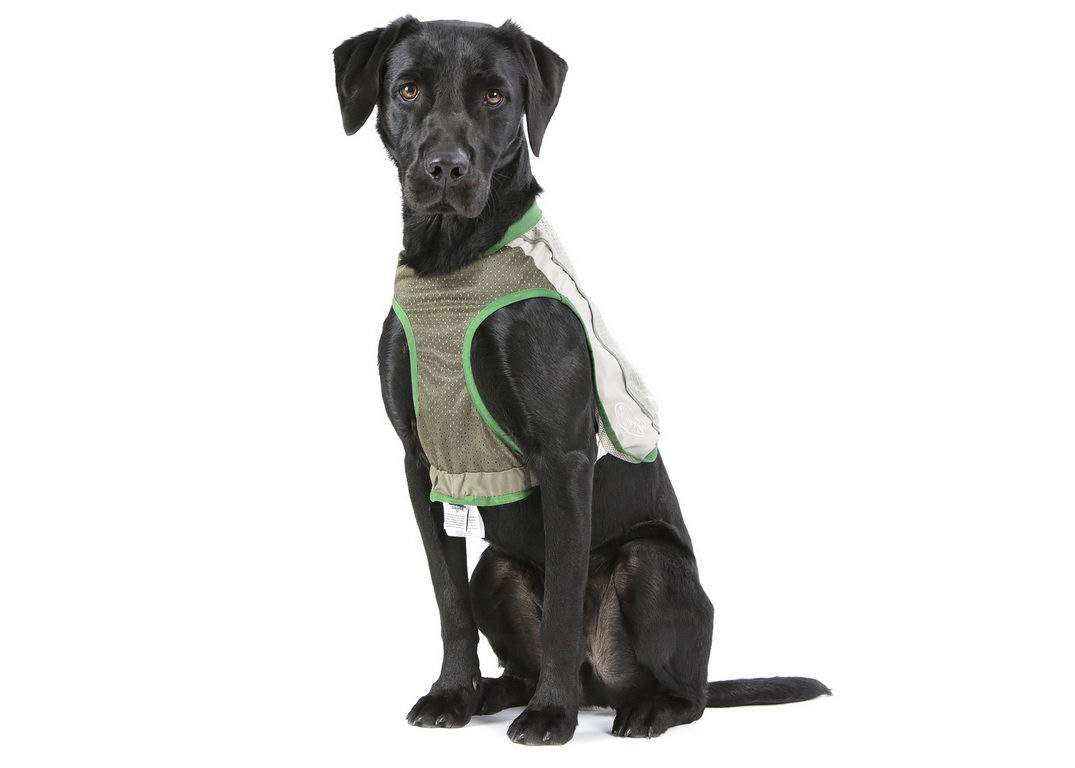 Жилетка для собак Scruffs Insect Shield Dog Vest с пропиткой от блох и клещей 22см
