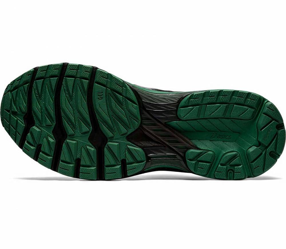 Gt 2000 clearance gore tex