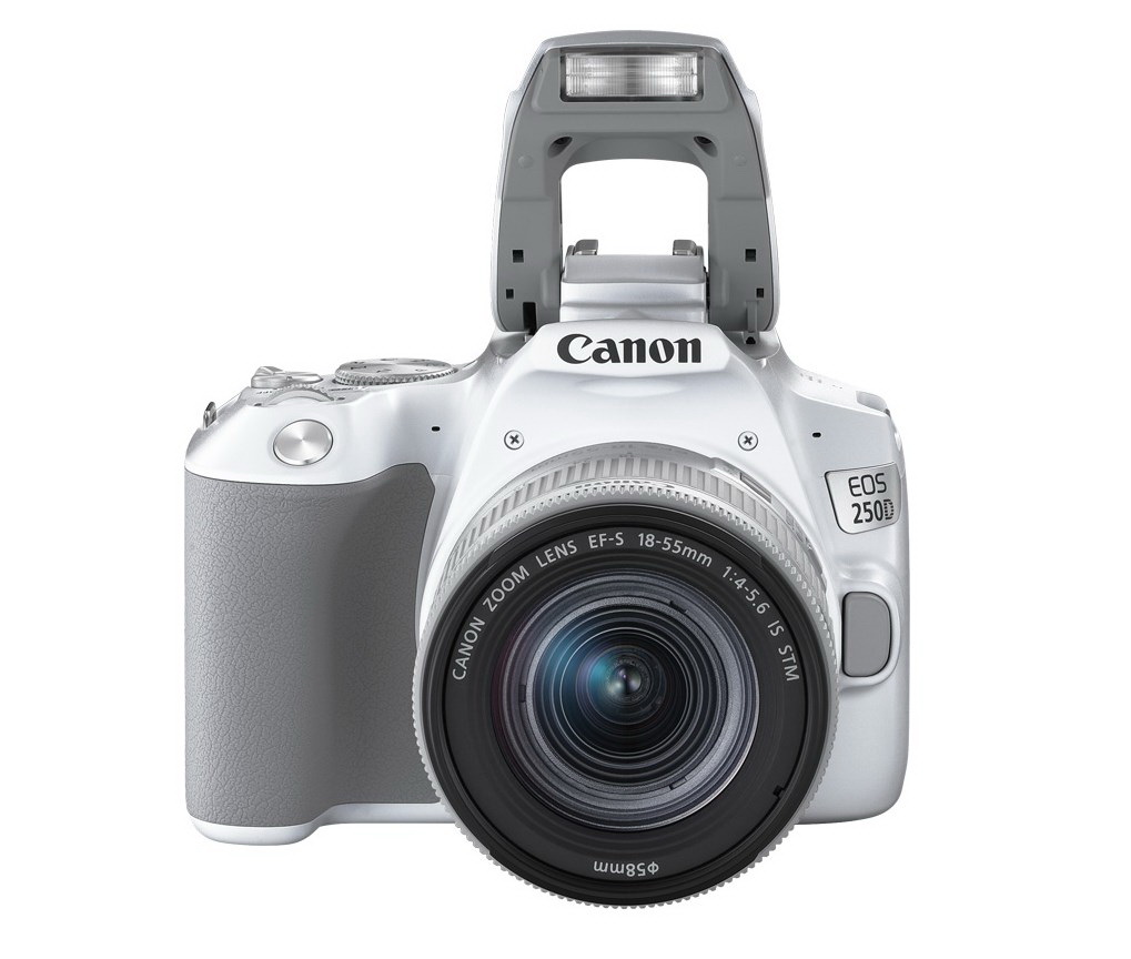 Фотоаппарат зеркальный Canon EOS 250D 18-55mm IS STM White - отзывы  покупателей на маркетплейсе Мегамаркет | Артикул: 100026466282