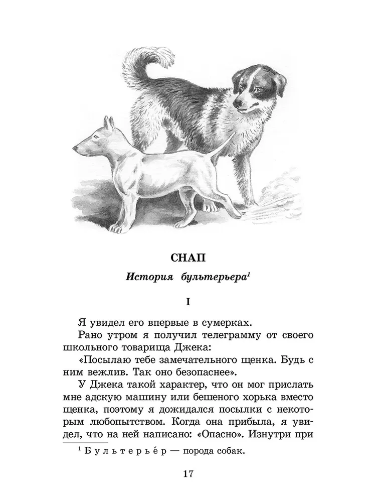 Э сетон томпсон рассказы о животных читать. Сетон-Томпсон рассказы о животных. Сетон-Томпсон снап. Рисунок к рассказу снап. Томпсон рассказы о животных.