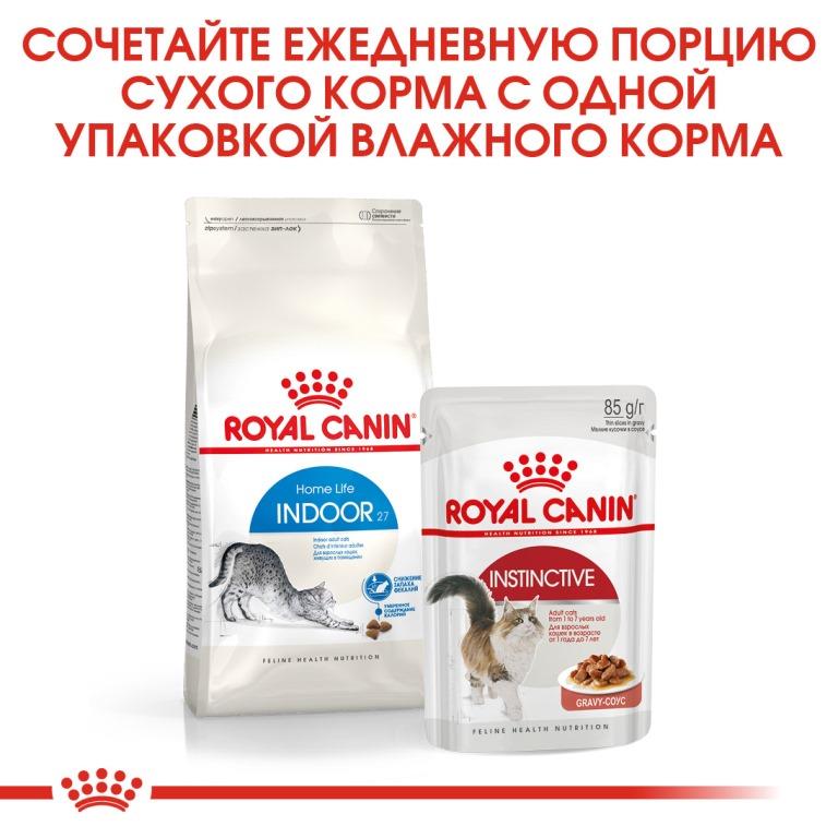 Royal sales canin indoor