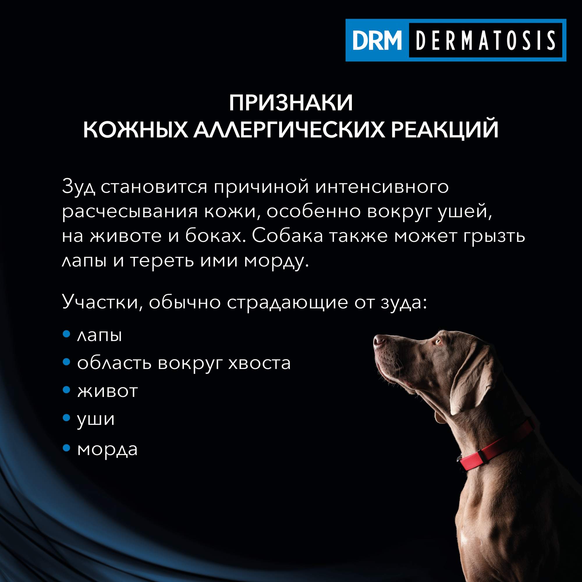 Сухой корм для собак Pro Plan Veterinary Diets DRM Dermatosis, при дерматозах, 3кг