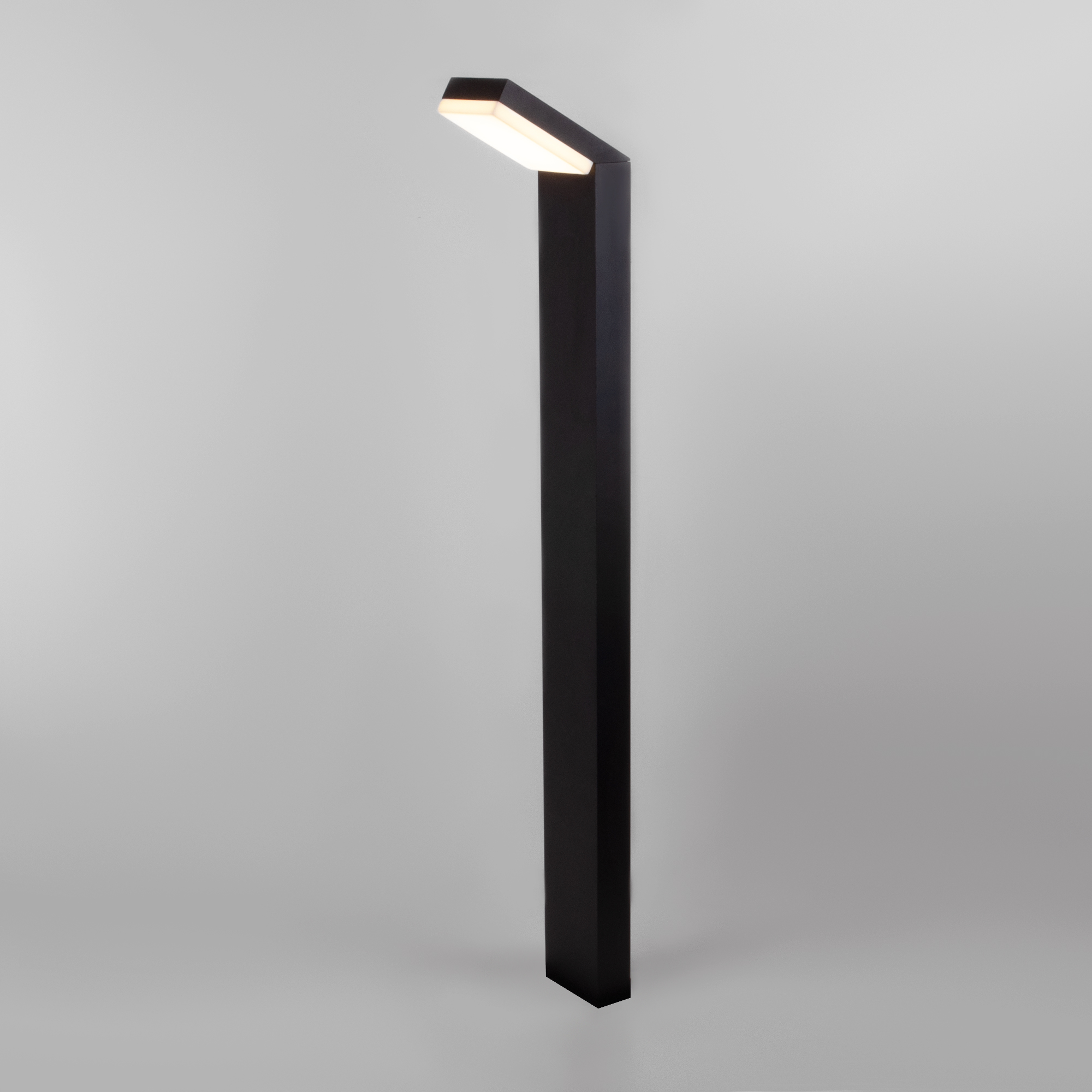 Ландшафтный светильник грунтовый Elektrostandard 1542/черный