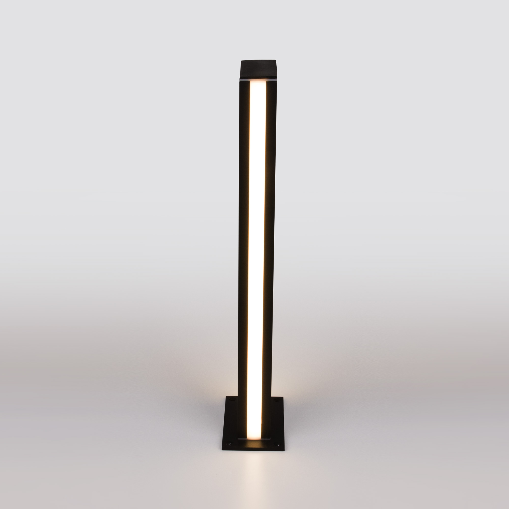 Ландшафтный светильник грунтовый Elektrostandard 1538/черный