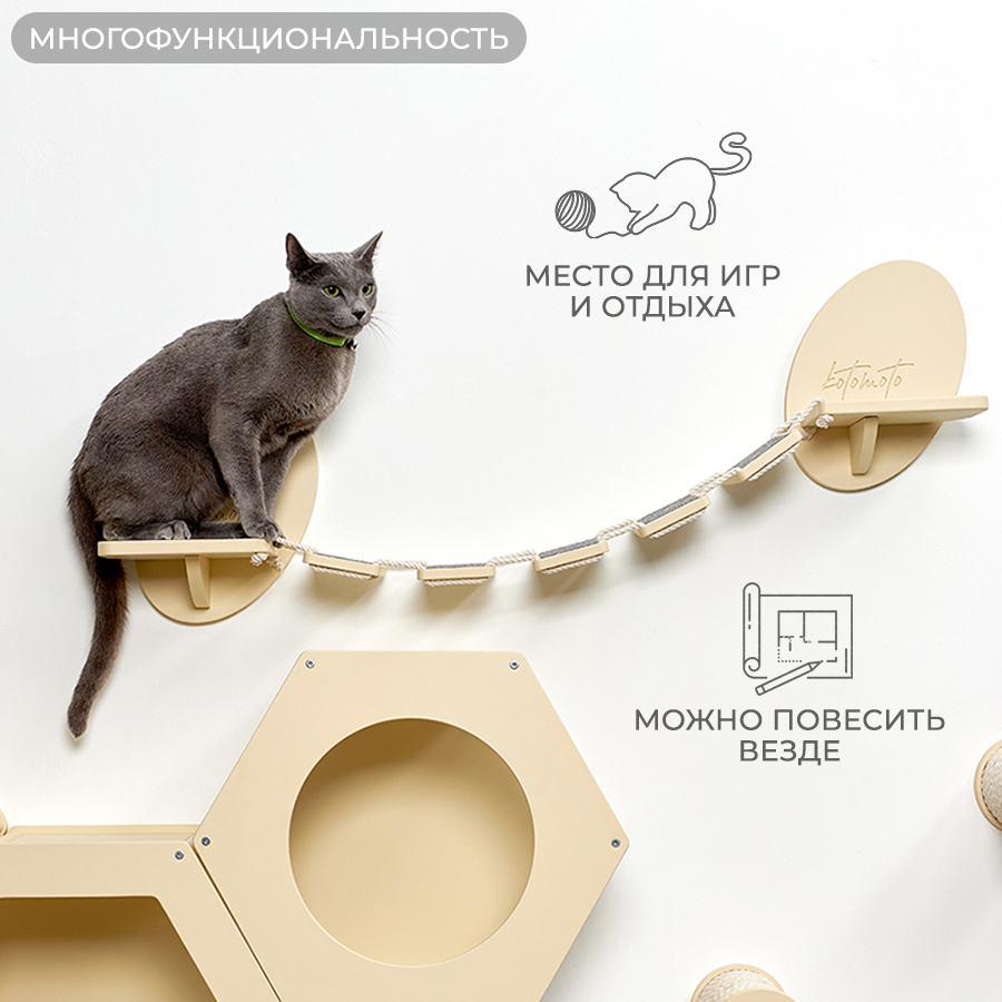 Котомото