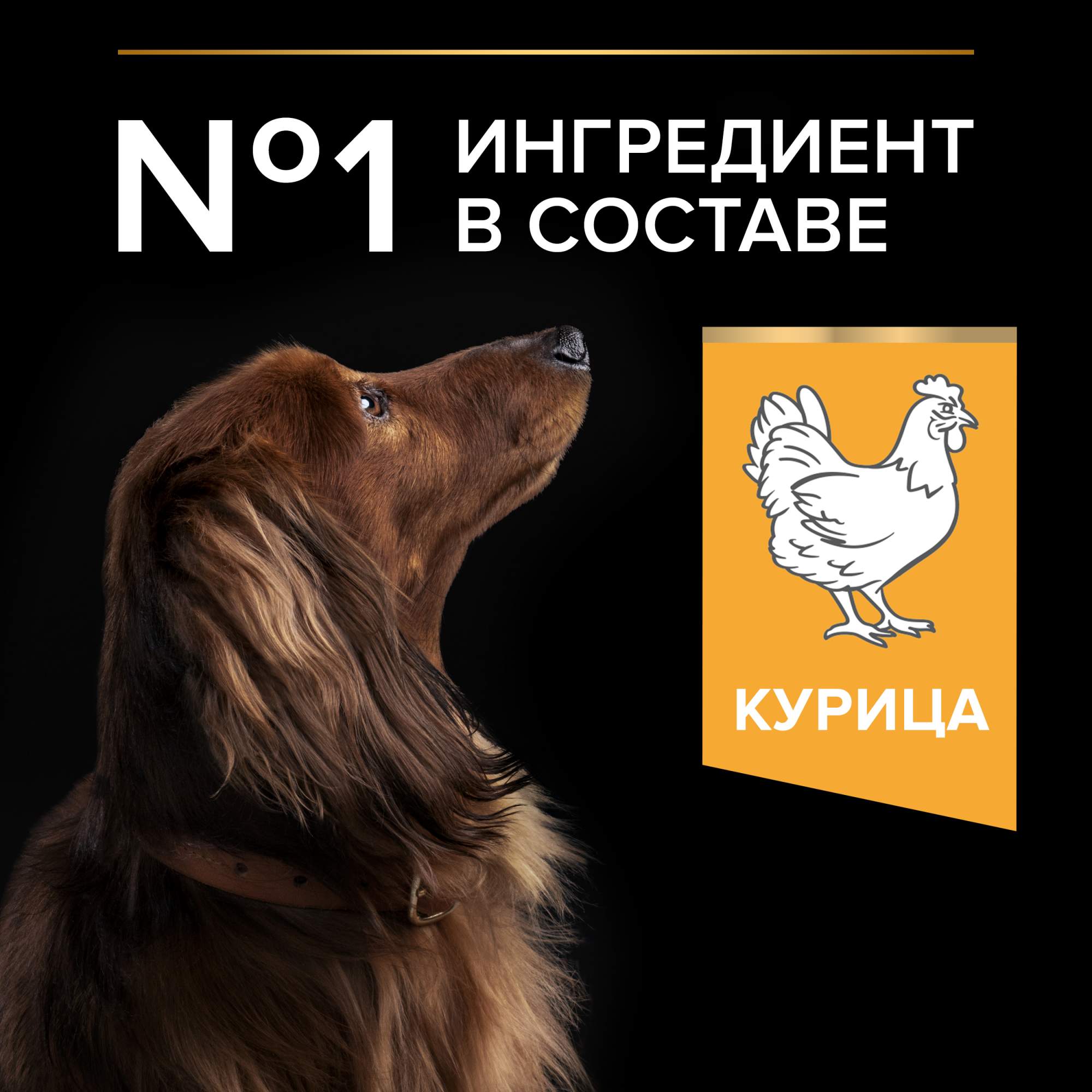 Сухой корм для собак PRO PLAN для мелких и карликовых пород с курицей, 3 кг  - отзывы покупателей на маркетплейсе Мегамаркет | Артикул  товара:100001276499