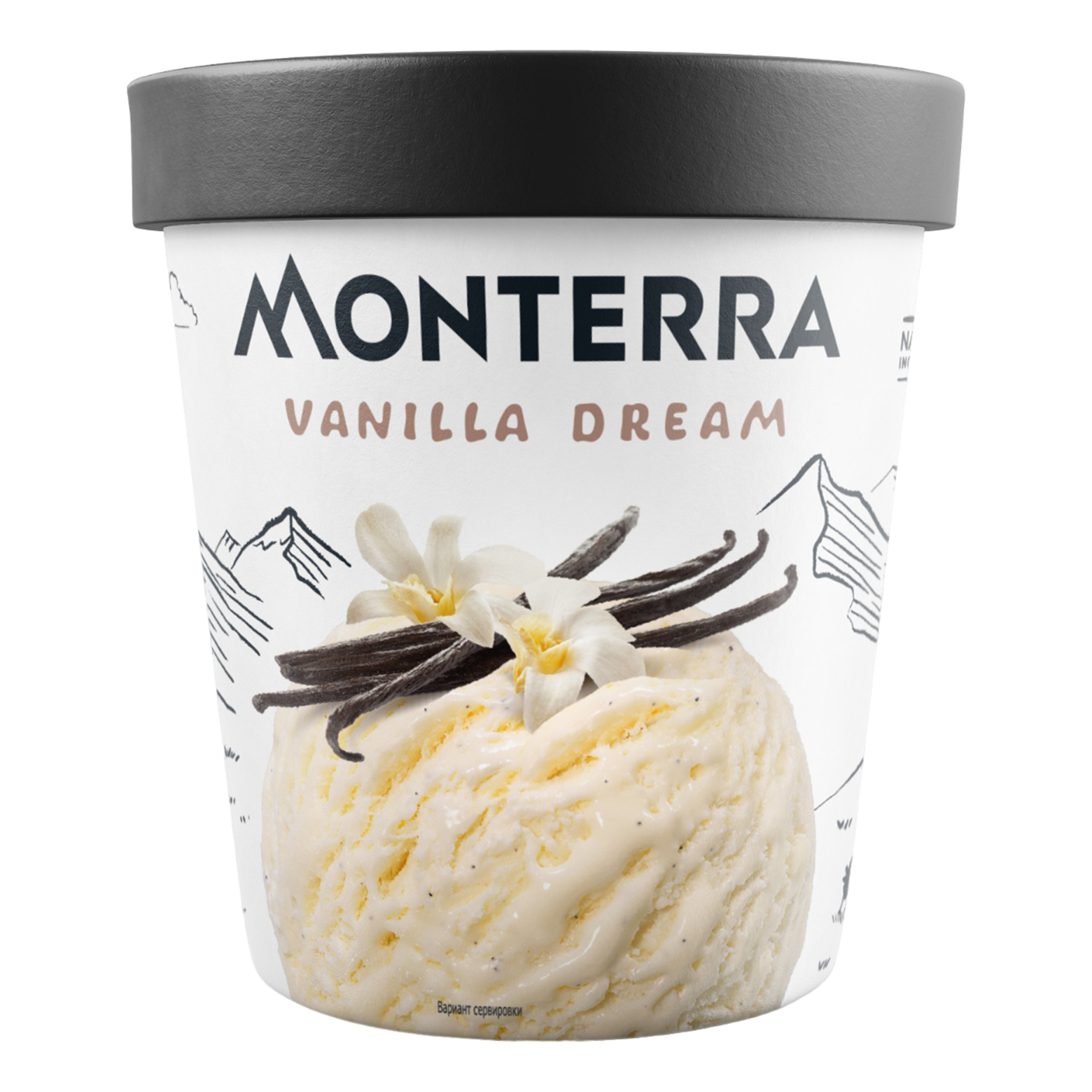 Купить мороженое Ванильное Monterra, 480 мл, цены на Мегамаркет | Артикул: 100050498405