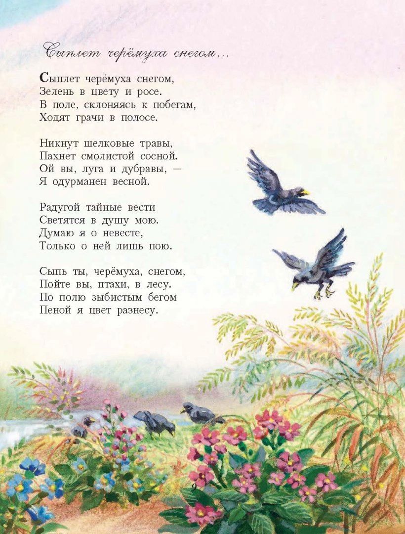 Длинные стихи Сергея Есенина - poemata.ru