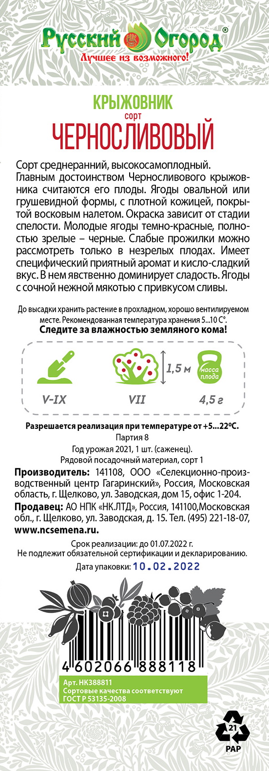 Саженцы крыжовник Русский огород Черносливовый 1 шт. - купить в Москве,  цены на Мегамаркет | 100031022681