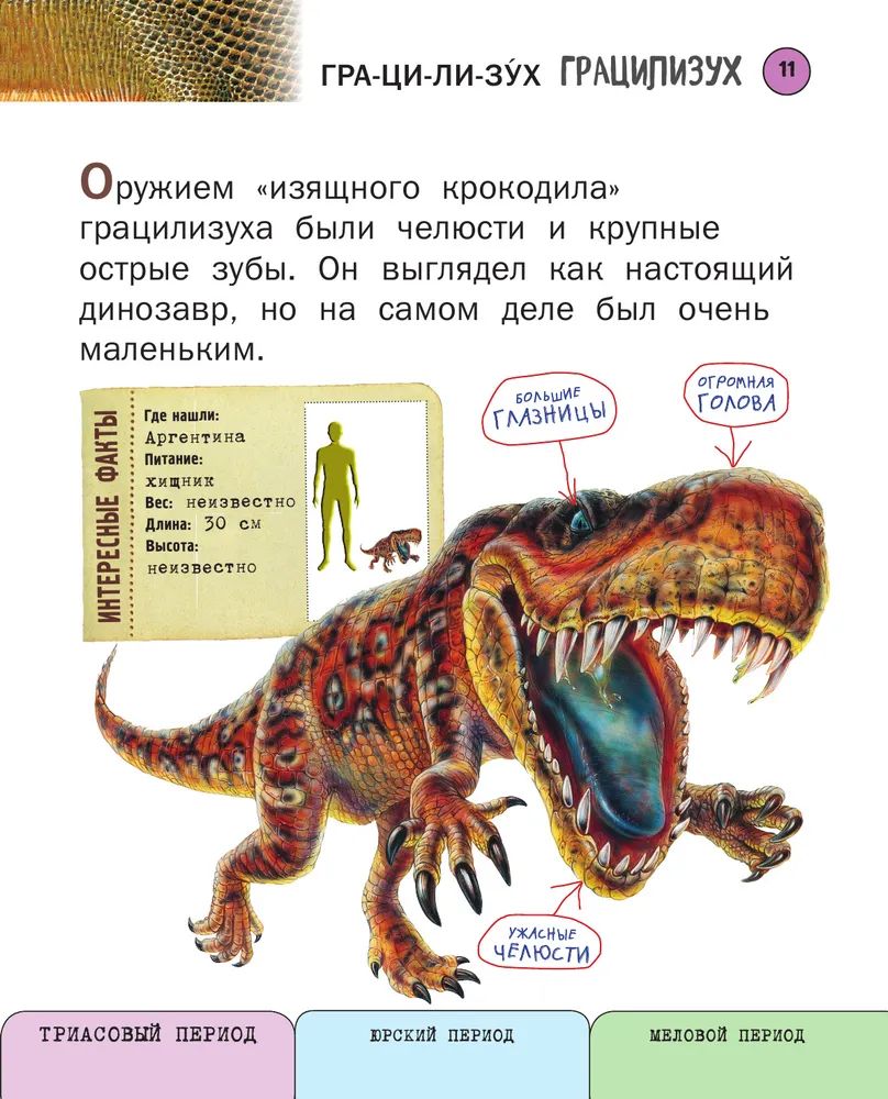 Все хищные динозавры с крупными буквами - купить детской энциклопедии в  интернет-магазинах, цены на Мегамаркет | 13750