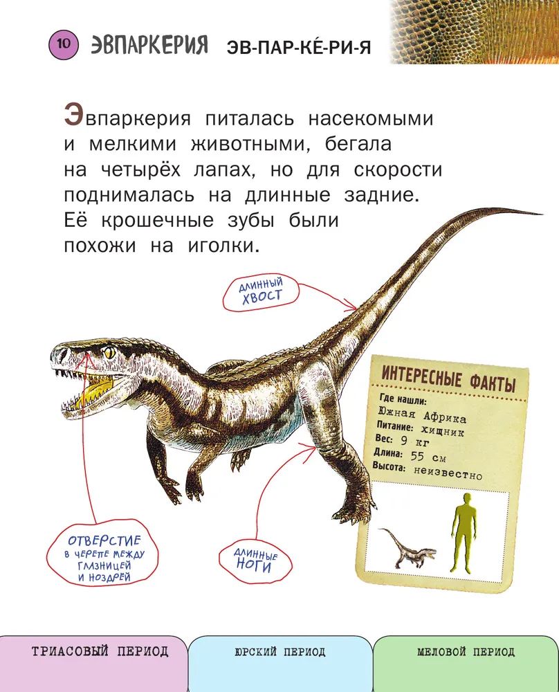 Стихи про динозавров, динозавра, динозаврика